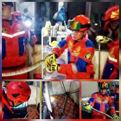 Warga Palangka Raya Kaget, Ular Piton Sepanjang 1,6 Meter Masuk Dapur Rumahnya