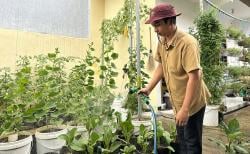 Ini Rekomendasi Alat Berkebun Esensial yang Wajib Dimiliki Pekebun Pemula