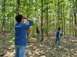 Perhutani KPH Purwodadi Dukung Riset Kehutanan Berbasis Data dan Teknologi Oleh Mahasiswa UGM