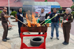 Kejari Lamandau Musnahkan Ratusan Gram Sabu Dari 19 Perkara Tindak Pidana