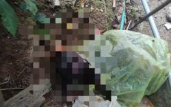 Sesosok Mayat Bayi Ditemukan Warga Dengan Kondisi Membusuk