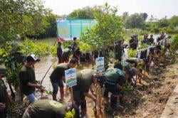 Tanam Ribuan Mangrove untuk Selamatkan Ekosistem Pesisir