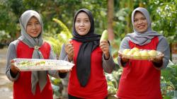 Berdayakan 879 Perempuan, Bumi Kartini Ubah Limbah Ternak Sapi Jadi Sumber Peningkatan Ekonomi