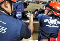 Anak Kucing Terjebak di Gudang Kantor Bawaslu, Damkar Palangka Raya Turun Tangan