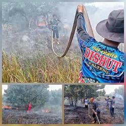 Lahan Gambut Terbakar Hebat, Tim Gabungan Kewalahan Padamkan Api Akibat angin kencang