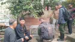 Monyet Ekor Panjang Masuk Permukiman Warga di Cibogor, CDK Wilayah IV Kota Tasikmalaya Turun Tangan