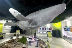 Filosofi Ikan Koi Hadir dalam Sepatu, Menggabungkan Ekspresi Diri dan Teknologi Anti-Kelelahan