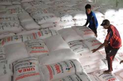 Disperindag Ungkap Masih Banyak Pengecer Jual Pupuk Subsidi di Atas HET