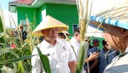 Tinjau Lahan Jagung, Itwasum Polri Pastikan Program Pangan Polri Berjalan di Jeneponto