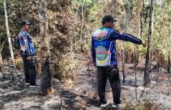 Tim Dalkarhutla Dishut Kalteng Cek Lahan Pasca Kebakaran di Palangka Raya