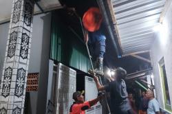 Sarang Tawon Vespa di Atap Rumah Gegerkan Warga Kalijaten, Pemuda 22 Tahun Masuk RS Usai Tersengat