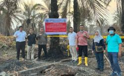 Karhutla di Riau, Empat Perusahaan Disegel Pemerintah