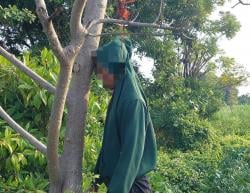 Diduga Depresi Sejak Lama, Pemuda di Paiton Probolinggo Ditemukan Tewas Gantung Diri