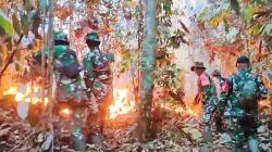 Karhutla Terjadi di Perbukitan Rambah Rohul, 3 Heli Dikerahkan