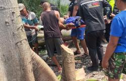 Kakek di Mojokerto Tewas Tertimpa Pohon Randu Ditebang Bersama Anak, Begini Kondisinya