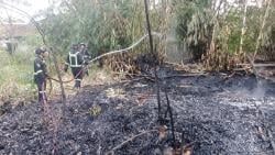 Kebakaran Lahan Gegara Bakar Sampah, Damkar Imbau Warga Waspada di Musim Kemarau