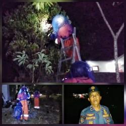 Petugas Damkar Palangka Raya Evakuasi Sarang Tawon Vespa Berbahaya di Depan Rumah Warga