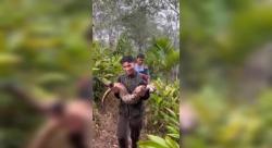 Kucing Emas Terjerat Jerat Babi, Dievakuasi BKSDA di Simpang Tonang Selatan