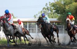 Setelah 11 Tahun, Indonesia Kembali Punya Kuda Peraih Triple Crown