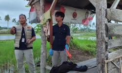 Sebatang Kara, Sukirah Ditemukan Tak Bernyawa di Depan Gubuk Persawahan