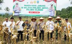 Polres Cilegon Bersama Forkopimda dan Petani Lokal Gelar Panen Raya Jagung di Kecamatan Anyar