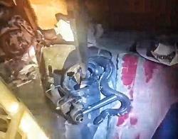 ​Ular Hanjaliwan Masuk Kamar Tidur di Palangka Raya, Penghuni rumah Ketakutan