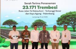 Hijau dan Sejuk! 23.171 Pohon Trembesi Ditanam di Tol Sumatera
