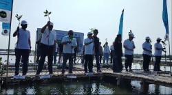 Peringati Hari Mangrove Sedunia, Subang Perkuat Komitmen Wujudkan Pesisir Hijau dan Bebas Sampah
