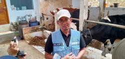 Teka-teki Kematian Belasan Sapi di Lembang Terungkap, Dispernakan Ungkap Fakta Mengejutkan