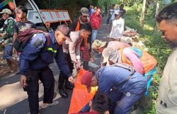 Truk Rem Blong di Batang, Sopir dan Penumpang Tewas di Tempat