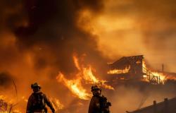 Warung Makan di Lodaya Randudongkal Terbakar, Diduga Akibat Korsleting Listrik