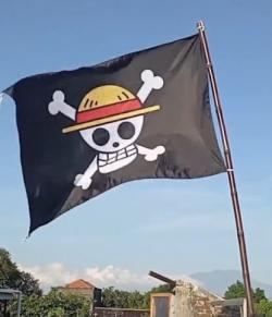 Bendera One Piece Berkibar di DPRD Kalteng: Simbol Perlawanan terhadap RUU KUHAP