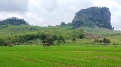 Misteri & Pesona Gunung Gajah: Bukit Batu Eksotis di Jantung Pemalang