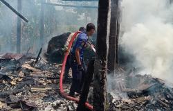Kandang Ternak di Sambeng Terbakar, 3 Sapi Selamat, Kerugian Capai Rp35 Juta