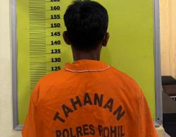 Gegara Puntung Rokok, 1 Hektare Lahan di Bangko Pusoko Rohil Terbakar