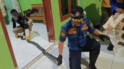 Evakuasi Dramatis Ular King Kobra Sepanjang 4,4 Meter Masuk Rumah Warga