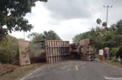 Truk Tebu PT MSM yang Tabrak Pohon dan Terbalik di Patawang, Sopirnya Tidak Miliki SIM B2 Umum