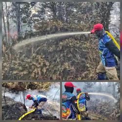 Diperkirakan Puluhan Hektare Lahan Terbakar di Kapuas, Pemadaman Terkendala Gambut dan Jauh