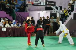 Pesilat Maluku dan Malut Adu Jurus di IPSC 5 Jakarta: 1.430 Atlet Ikuti Kejurnas
