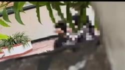 Tak Bermoral! Remaja Nekat Mesum di Area Rumah Dinas Bupati Sragen