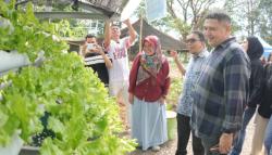 Makassar Genjot Urban Farming: RT/RW Jadi Garda Ketahanan Pangan Kota