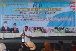 Dorong Swasembada Susu, Kementan Jadikan BBPTU-HPT Baturraden Center of Excellence