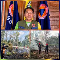 Musim Kemarau, Kebakaran Lahan di Palangka Raya Meningkat Jadi 71 Kejadian
