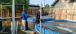 Dorong Ketapang, BUMDes Mekarsari Kembangkan Budidaya Ikan Nila Lewat Kolam Bioflok
