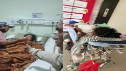 Tragis! PMI Asal TTU Diduga Dianiaya di Malaysia, Berangkat via Jalur Non-Prosedural