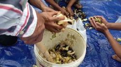 Petani Purbalingga Dilatih Buat Pupuk Organik dan Kompos