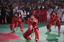 Event Silat Internasional di Sumut Berjalan Mulus, PLN Kerahkan Sistem Kelistrikan 4 Lapis