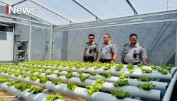 Ruang Sempit, Hasil Hebat! Rutan Makassar Ubah Sudut Kosong Jadi Kebun Hidrolik