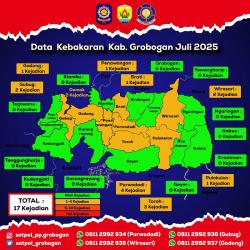 Awas! Selama Juli 2025 Damkar Satpol PP Grobogan Tangani 17 Kebakaran, Kerugian Rp1,1 Miliar
