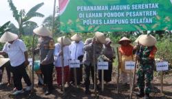 Wujudkan Ketahanan Pangan, Polres Lamsel Tanam Jagung Bareng Santri dan Warga Desa Canggu